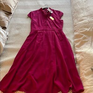 Alexia Armor NWT Hot Pink Button-Up Dress with pockets